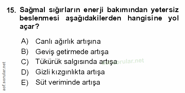 Soru 15