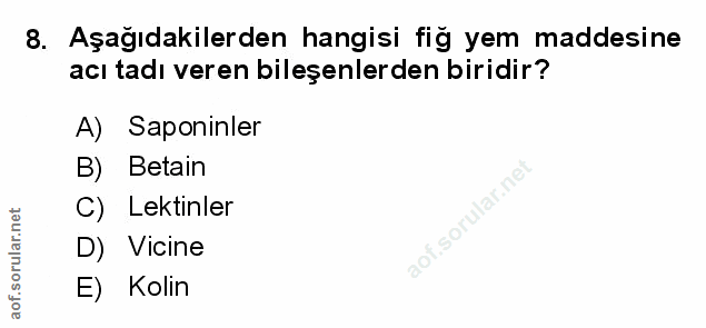 Soru 8
