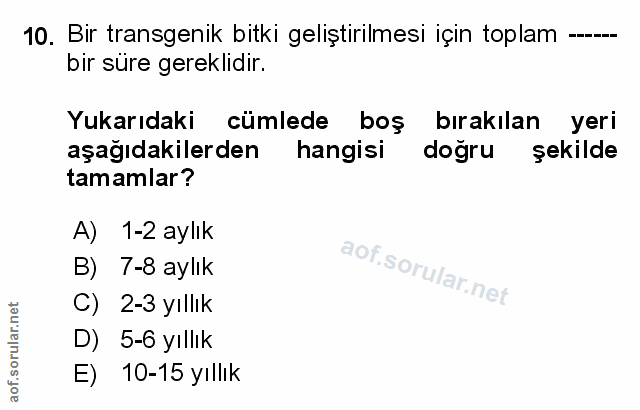 Soru 10
