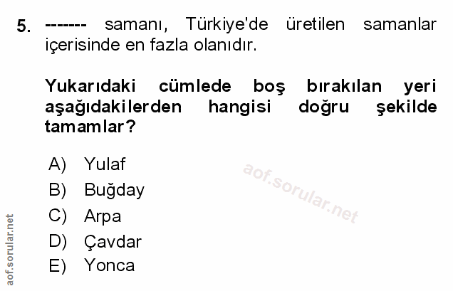 Soru 5