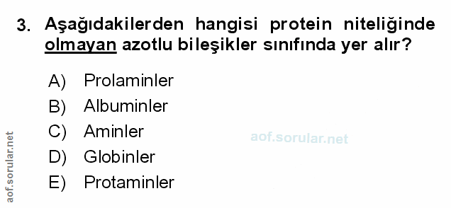 Soru 3