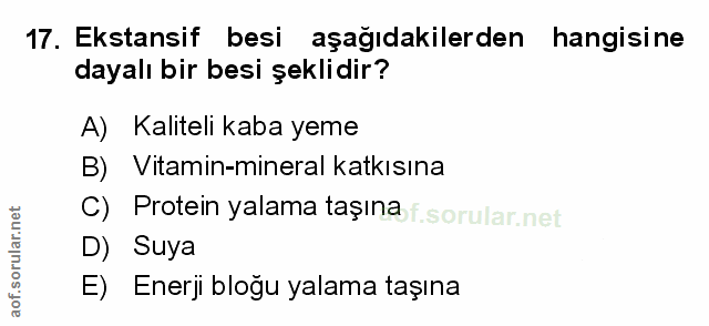 Soru 17