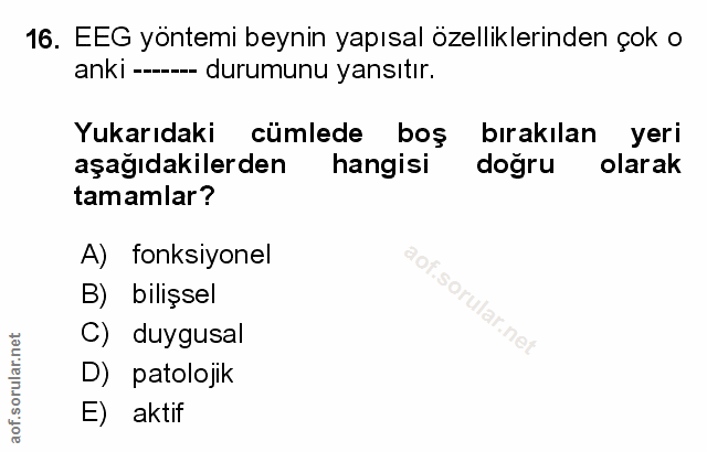Soru 16