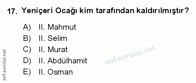Soru 17