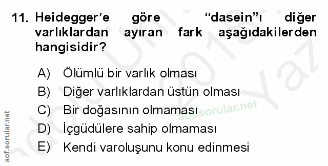 Soru 11