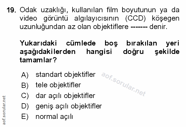 Soru 19