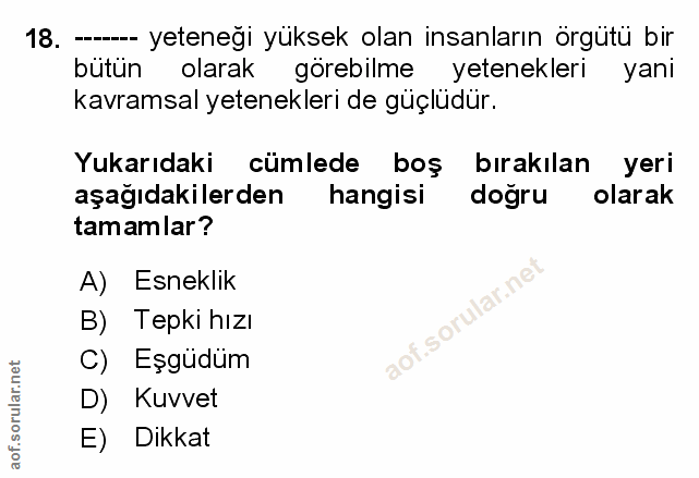 Soru 18