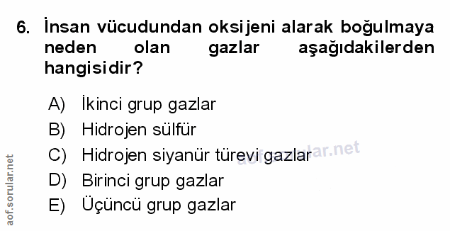 Soru 6