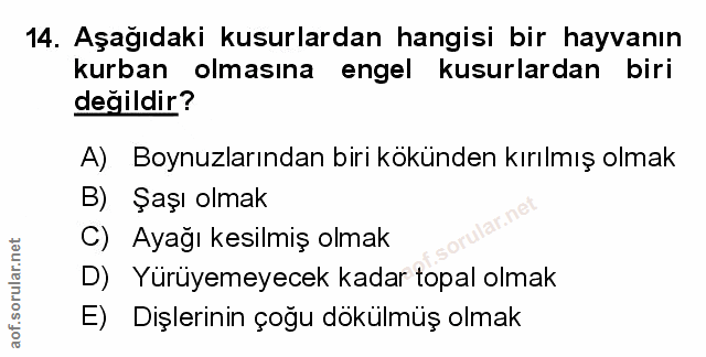 Soru 14