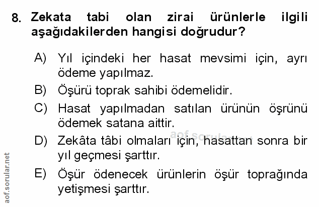 Soru 8