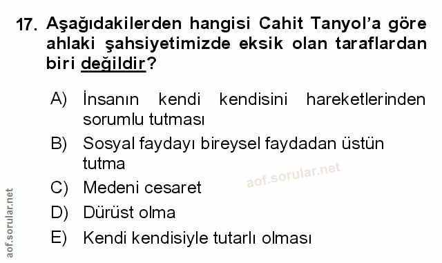 Soru 17