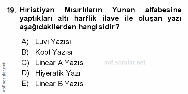 Soru 19