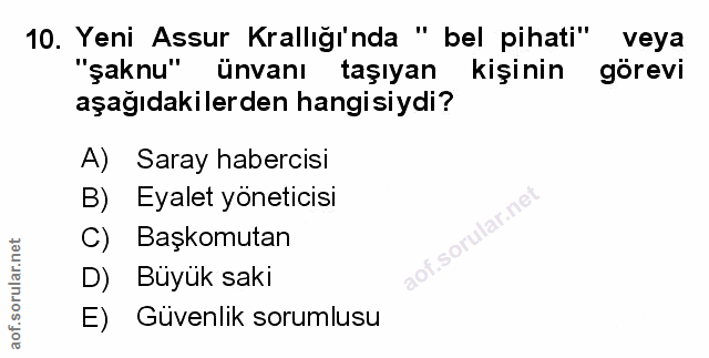 Soru 10