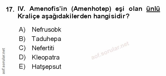 Soru 17