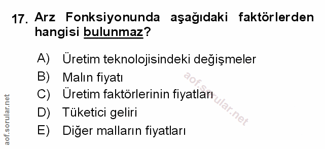 Soru 17