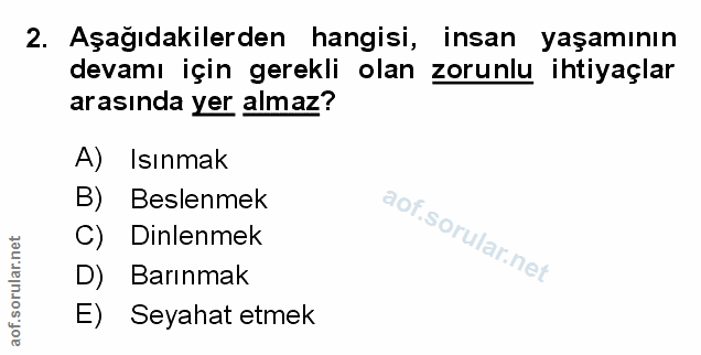 Soru 2