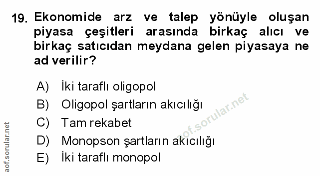 Soru 19