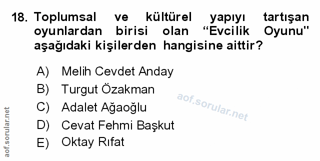 Soru 18