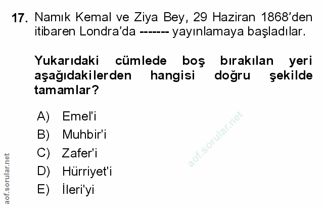 Soru 17