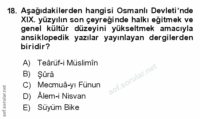 Soru 18