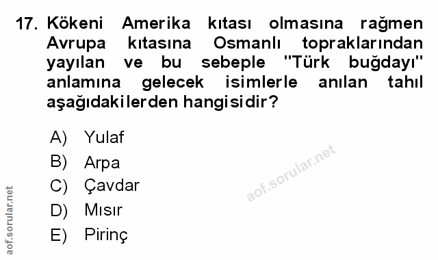 Soru 17