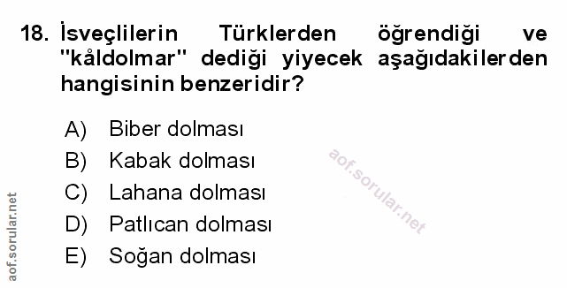 Soru 18