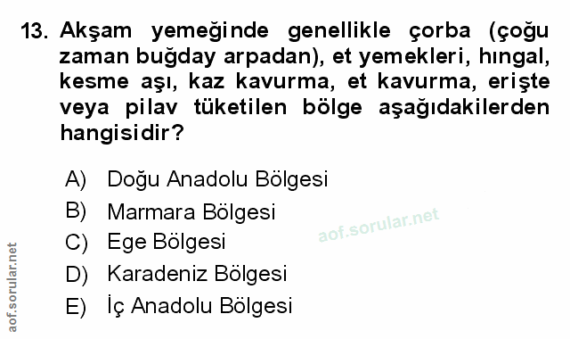 Soru 13