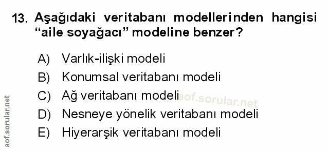 Soru 13