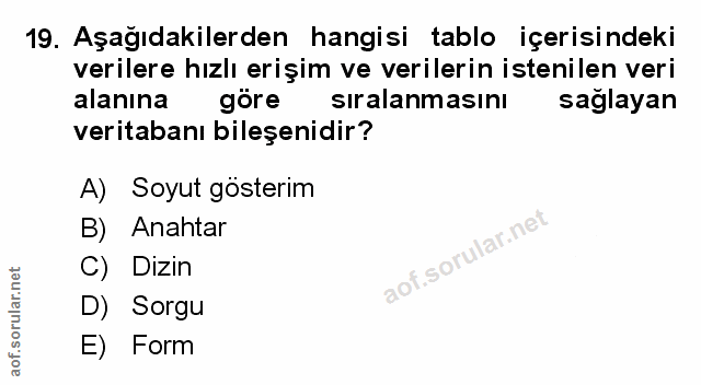 Soru 19