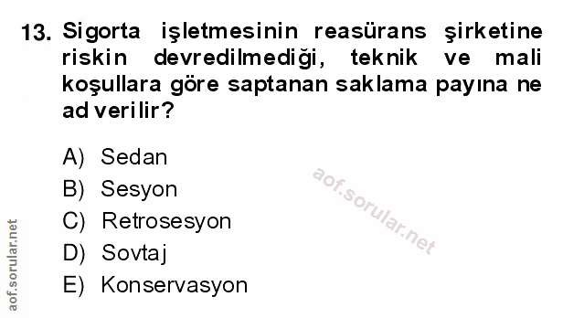 Soru 13