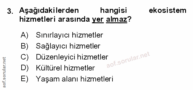 Soru 3