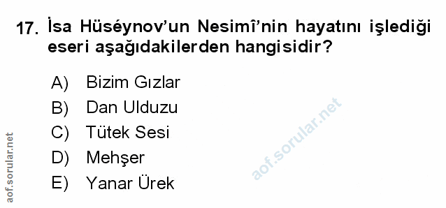Soru 17