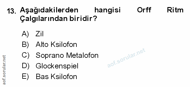 Soru 13