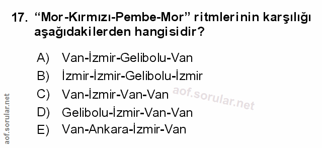 Soru 17