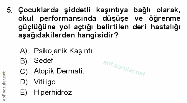 Soru 5