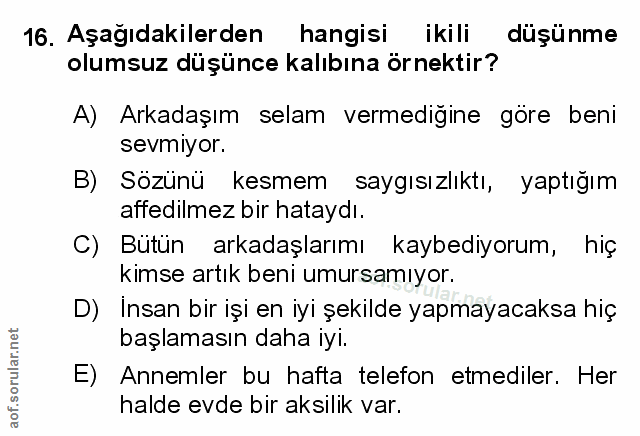 Soru 16