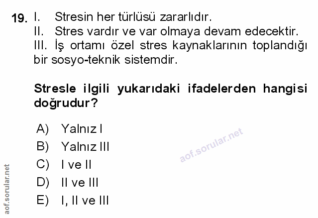 Soru 19