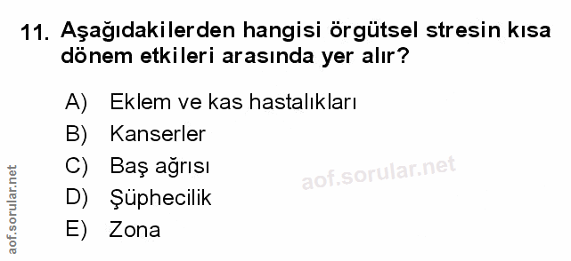 Soru 11