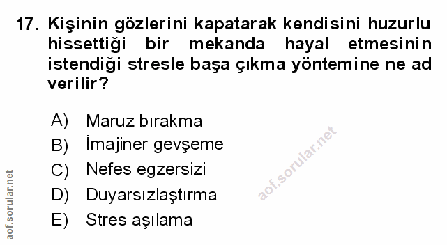 Soru 17