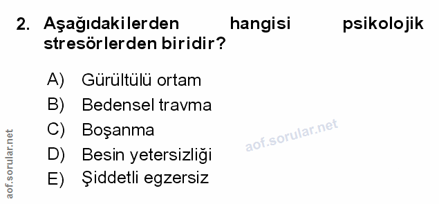 Soru 2