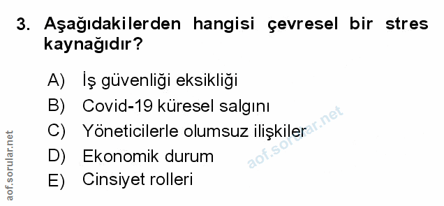 Soru 3