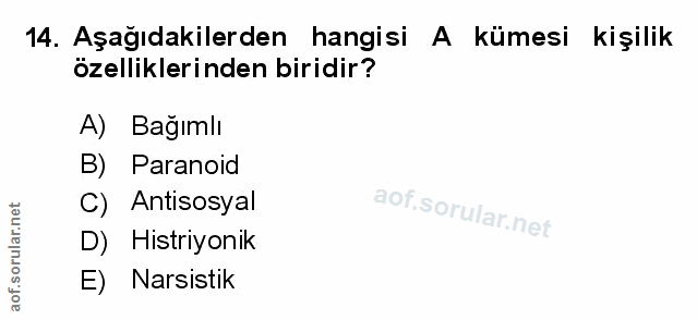 Soru 14