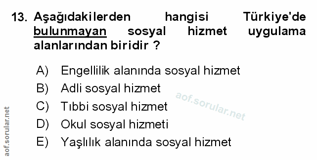 Soru 13