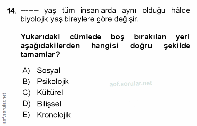 Soru 14