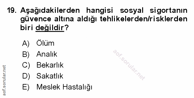 Soru 19