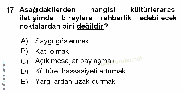 Soru 17