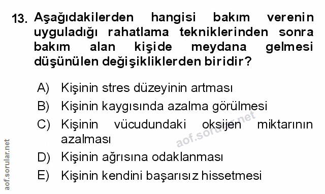 Soru 13