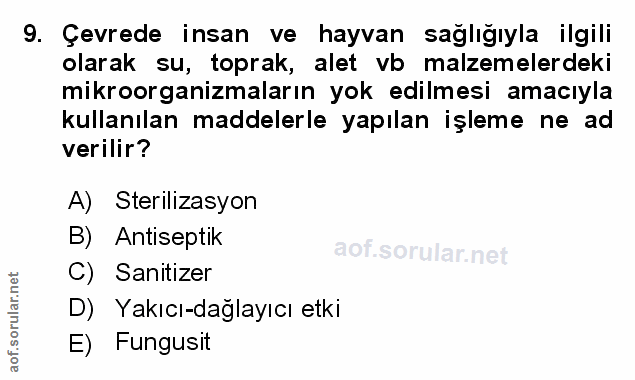 Soru 9