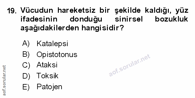 Soru 19