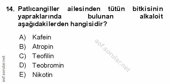 Soru 14